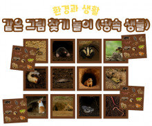 같은 그림 찾기 놀이 (땅속 생물)