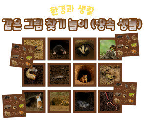같은 그림 찾기 놀이 (땅속 생물)