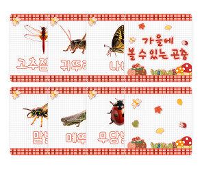 가을에 볼 수 있는 곤충 카드