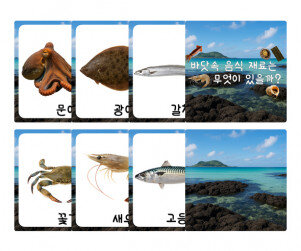 바닷속 음식 재료는 무엇이 있을까 카드