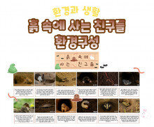 흙 속에 사는 친구들 환경구성