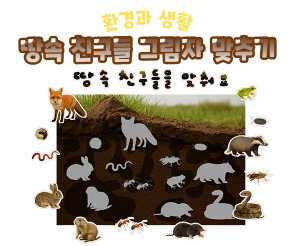 땅속 친구들 그림자 맞추기