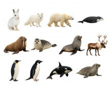 극지방에 사는 동물