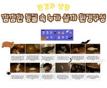 깜깜한 동굴 속 누가 살까 환경구성