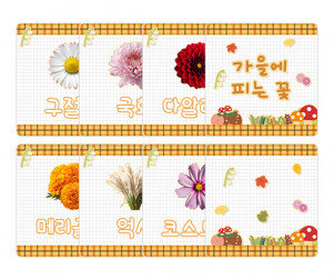 가을에 피는 꽃 카드