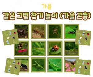 같은 그림 찾기 놀이 (가을 곤충)