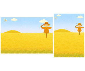 가을 논밭 배경