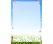 코스모스 테두리