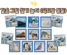 같은 그림 찾기 놀이 (극지방 동물)