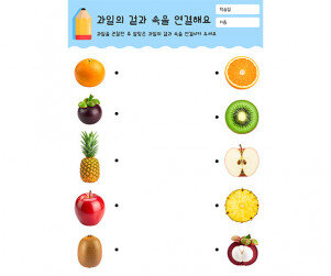 과일의 겉과 속을 연결해요