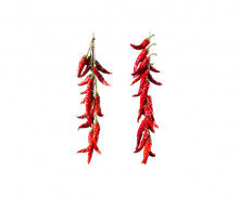 매달린 곡물(고추)