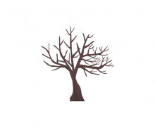 잎사귀 없는 나무