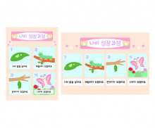 나비 성장과정