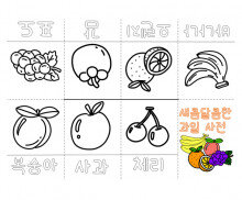 새콤달콤한 과일 사전