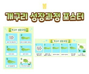 개구리 성장과정 포스터