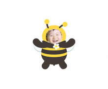 꿀벌 합성이미지
