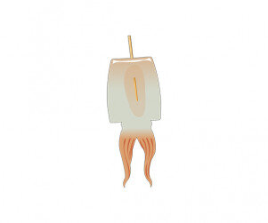 말리는 중인 오징어