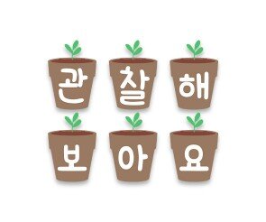 관찰해 보아요 화분 가랜드