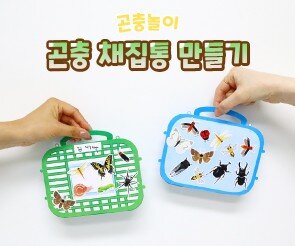 곤충 채집통 만들기