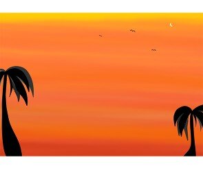 야자수 노을 배경