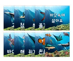 바닷속에 살아요 카드