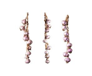 매달린 곡물(마늘)