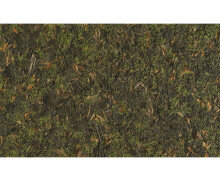 숲속 바닥 배경