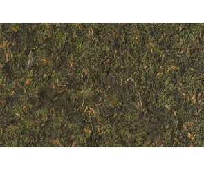 숲속 바닥 배경