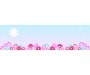 코스모스 축제 가로 배너(문구없음)