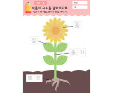 식물의 구조를 알아보아요