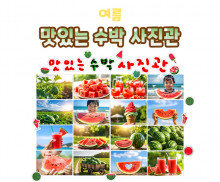 맛있는 수박 사진관