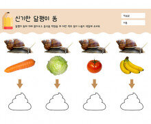 신기한 달팽이 똥