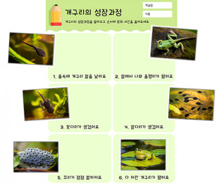 개구리의 성장과정