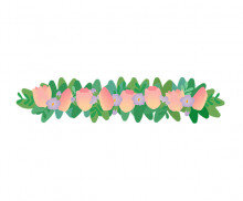 튤립,자스민 꽃 장식