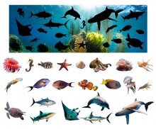 [개별도안] 바닷속 그림자 맞추기