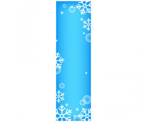 빙어 체험장 배너 (문구없음)