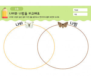 나비와 나방을 비교해요