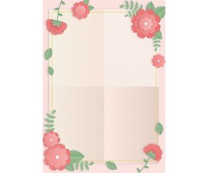 카네이션 테두리