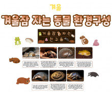 겨울잠 자는 동물 환경구성