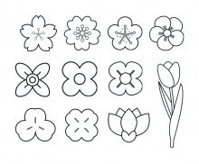 꽃 색칠 모음
