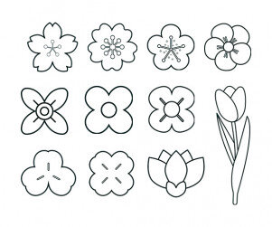 꽃 색칠 모음