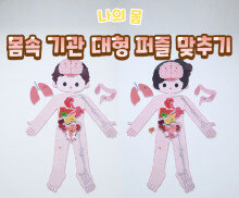 몸속 기관 대형 퍼즐 맞추기