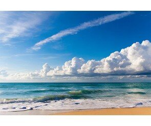 여름 바다 배경