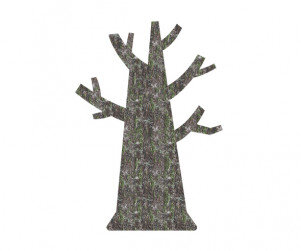 잎사귀 없는 나무