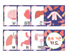 몸속 기관 카드