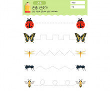 곤충 선긋기