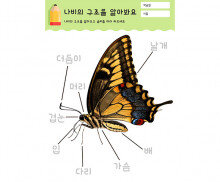 나비의 구조를 알아봐요