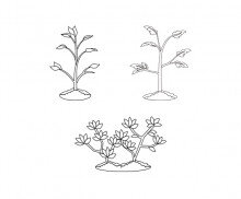 모종,묘목 색칠 모음