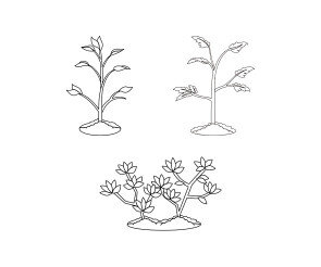 모종,묘목 색칠 모음