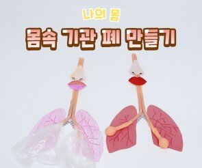 몸속 기관 폐 만들기